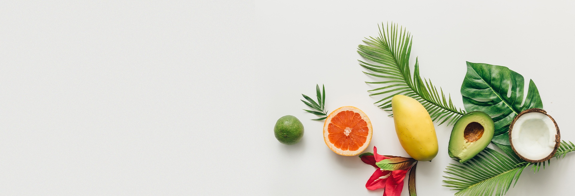 <p class="LexicalEditorTheme__paragraph" dir="ltr"><span style="white-space: pre-wrap;">Thực phẩm </span><span style="color: rgb(105, 190, 53); white-space: pre-wrap;">Lành</span><span style="white-space: pre-wrap;"> </span></p><p class="LexicalEditorTheme__paragraph" dir="ltr"><span style="white-space: pre-wrap;">Vui Sống Khỏe </span></p>